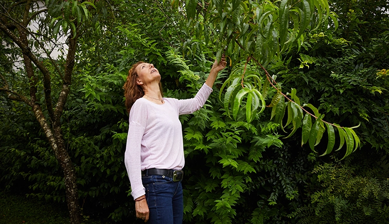 Frau, die vor einem Baum steht. Sie greift nach einem Ast und schaut nach oben. 